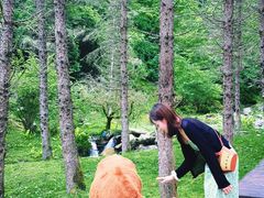 -硗碛藏寨·神木垒景区