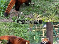 -沈阳森林动物园