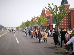 -荷兰花海