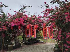 -扬美古镇景区