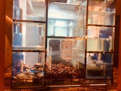 -童福兴·南京菜(老门东店)