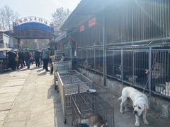 -开封杨丰宠物乐园