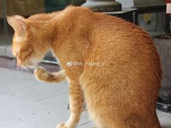 -默迹咖啡馆