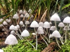 -西南民族大学南区(双流校区)