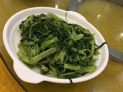 -鸿达渔港