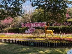 -上海野生动物园