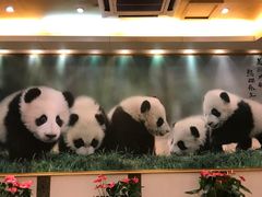 -成都驻京办餐厅(蜀都宾馆店)