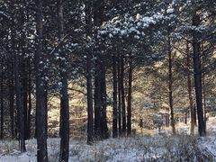 -塞罕坝国家级自然保护区