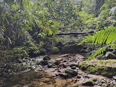 -海南热带雨林国家公园吊罗山景区