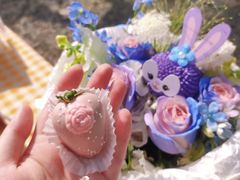 -安德鲁户外烧烤帐篷营地(马泉营店)