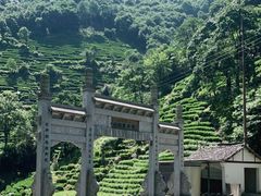 -午潮山国家森林公园