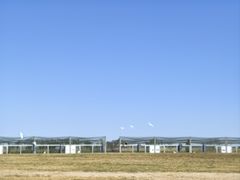 -盐城丹顶鹤湿地生态旅游区