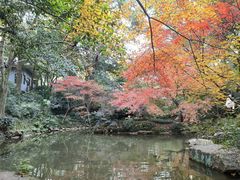 -中国茶叶博物馆(双峰馆区)