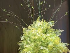 -喜湘宴·精致湖南菜(和平西桥店)