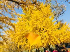 -辽宁大学(崇山校区)