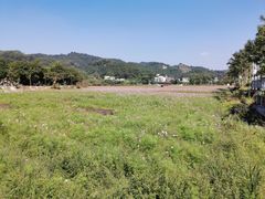-红山村