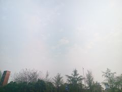 -海底捞火锅(方圆荟店)