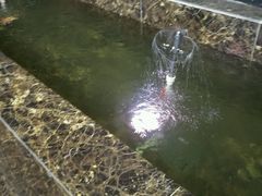 -尤尼克斯羽毛球主题馆