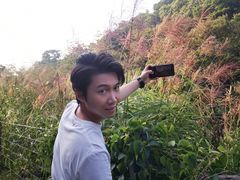 -云溪植物园