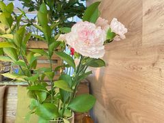 -春暖花开(西溪店)