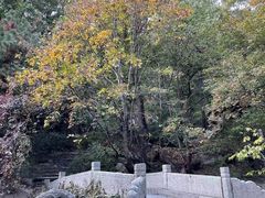 -天津盘山风景名胜区