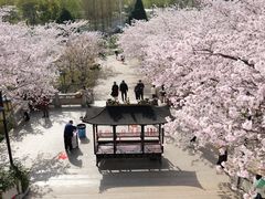 -苏州上方山国家森林公园