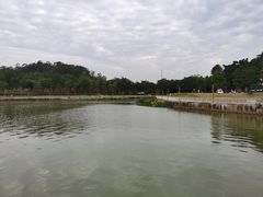 -仙湖旅游度假区
