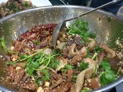 -杨氏青龙虾·羊蝎子(托乐嘉店)