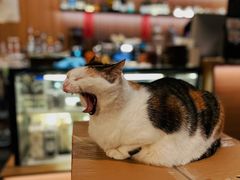 -黑胶星球(华发中城商都店)
