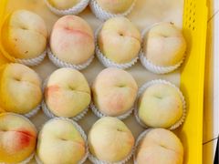 -老袁家蜜桃农场·阳山水蜜桃