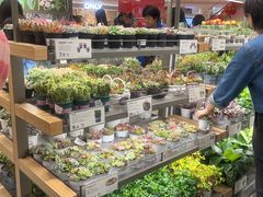 -鹿岛生活(熙地港店)