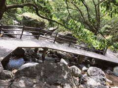 -宁波五龙潭景区