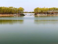 -大兴滨河森林公园