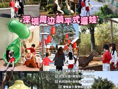 -佛冈森波拉度假区