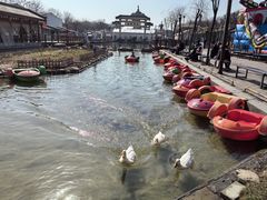 -西安汉城湖景区