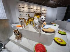 -柴务处·柴犬主题狗咖