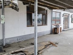 -白洋淀风景区