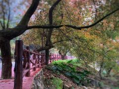 -广州市石门国家森林公园