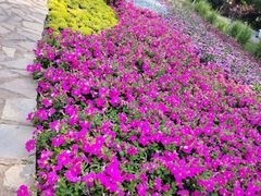 -秦皇岛野生动物园