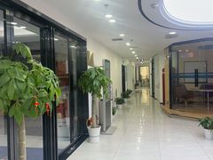 -新航道·雅思托福·Alevel AP·留学考研(光谷校区)