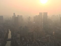 -339旋转餐厅(天府熊猫塔店)