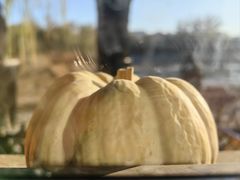 -三忘湖 SWANSEEN(柳荫公园店)