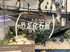 -北京周口店北京人遗址博物馆