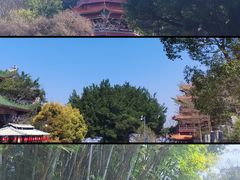 -神光山国家森林公园