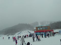 -亚布力新体委滑雪场