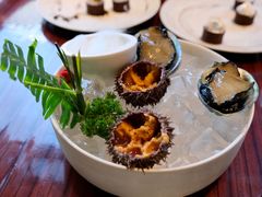 海胆-西安W酒店·WEI全味西餐厅