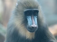 -鄂尔多斯野生动物园