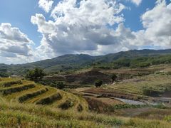 -牙胡梯田景区