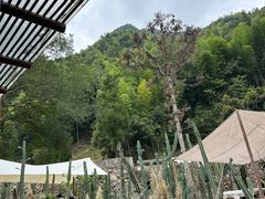 -MOJ coffee(瓯海泽雅水碓坑店)