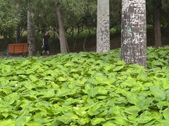 -元大都城垣遗址公园